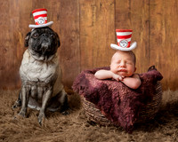 Newborn with pets