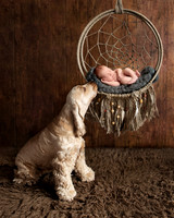 NEWBORNS WITH PETS