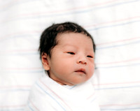 Ting Newborn May 2026